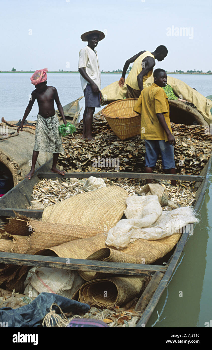 Pescatori e operai scaricano il pesce secco sulle rive del fiume Niger prima del trasporto al mercato di Mopti. Mali, Africa occidentale Foto Stock