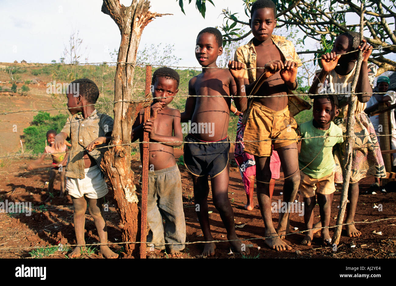 Un ritratto di sei bambini che vivono in povertà rurale in una fattoria di sussistenza, con accesso scarso o nullo all'istruzione. Eswatini (Swaziland) Foto Stock