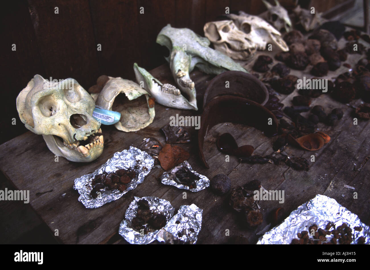 Mikongo WCS Campo di ricerca Foto Stock