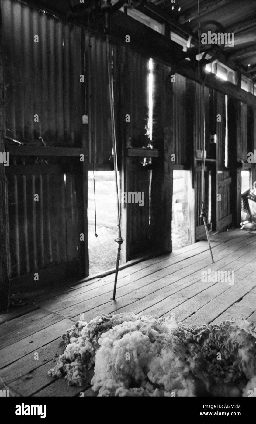 Woolshed, Nuovo Galles del Sud, Australia Foto Stock