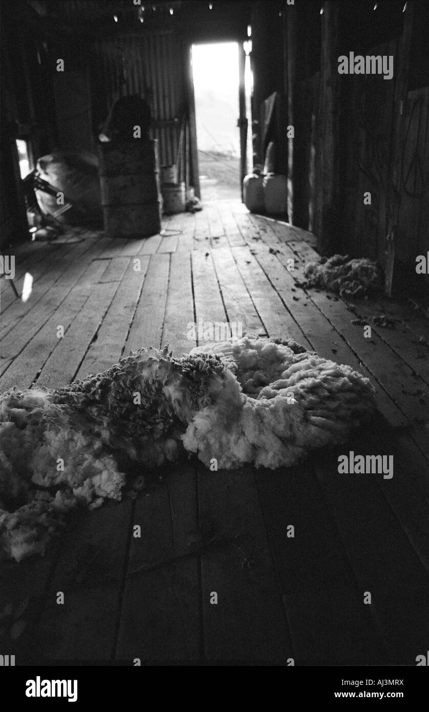 Woolshed, Agriturismo, Nuovo Galles del Sud, Australia Foto Stock