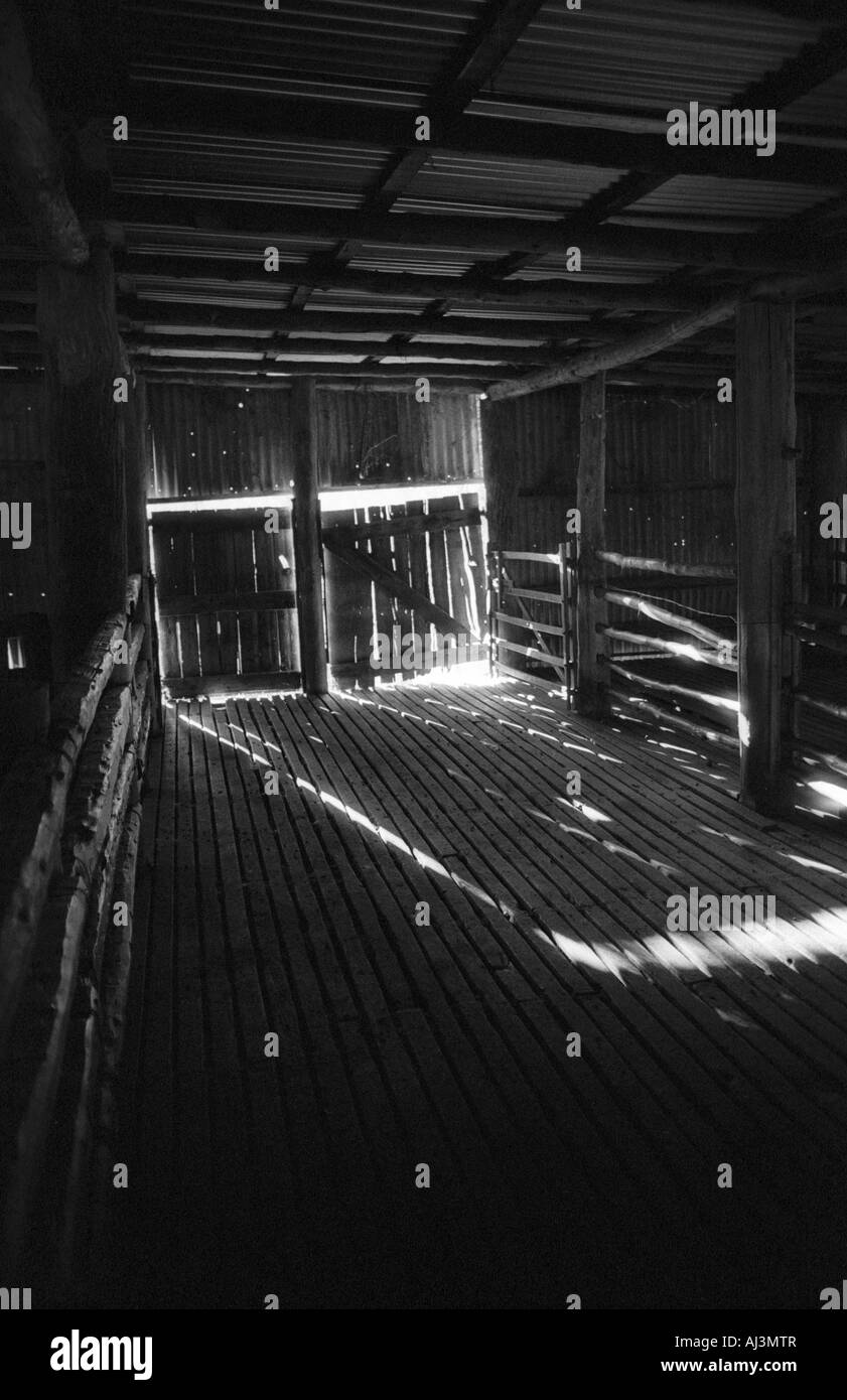 Woolshed, Agriturismo, Nuovo Galles del Sud, Australia Foto Stock