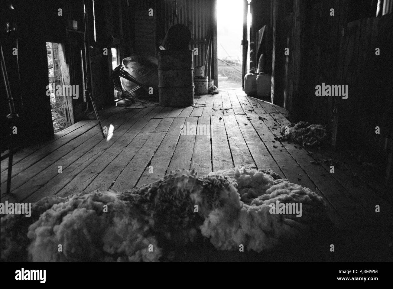 Woolshed, Agriturismo, Nuovo Galles del Sud, Australia Foto Stock