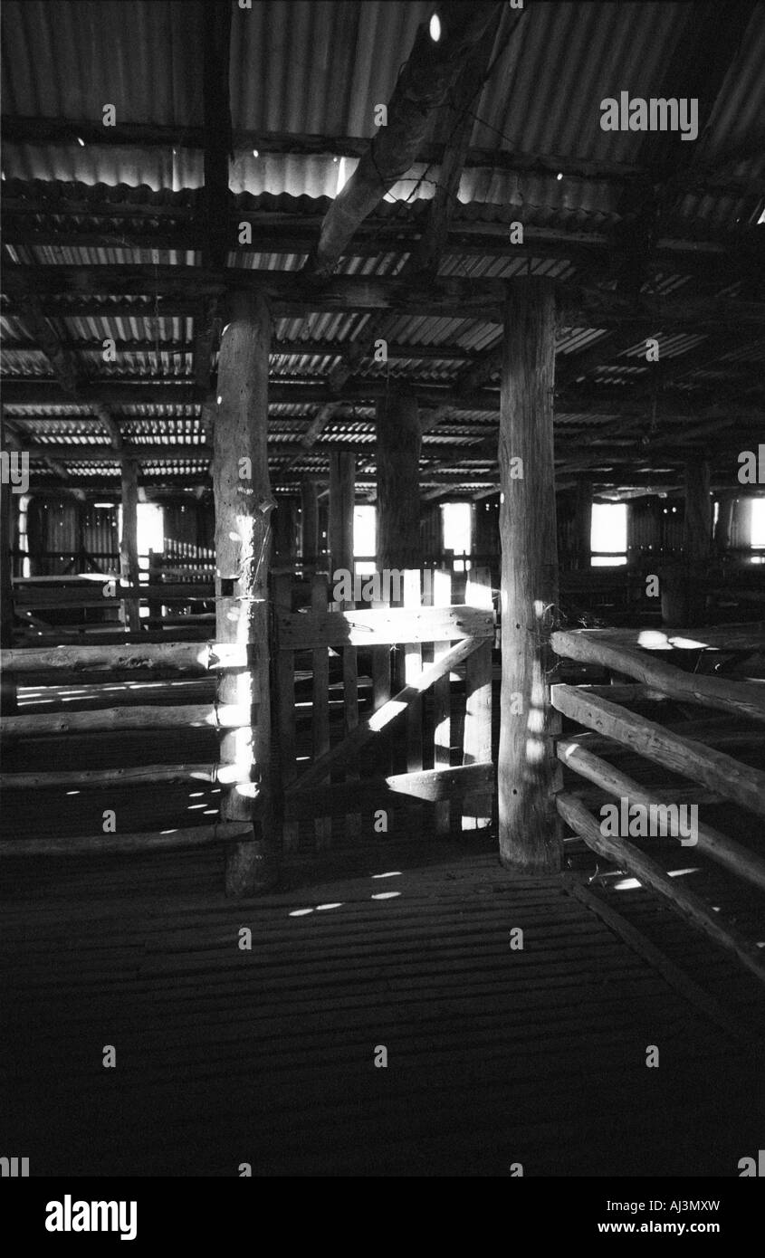 Woolshed, Agriturismo, Nuovo Galles del Sud, Australia Foto Stock