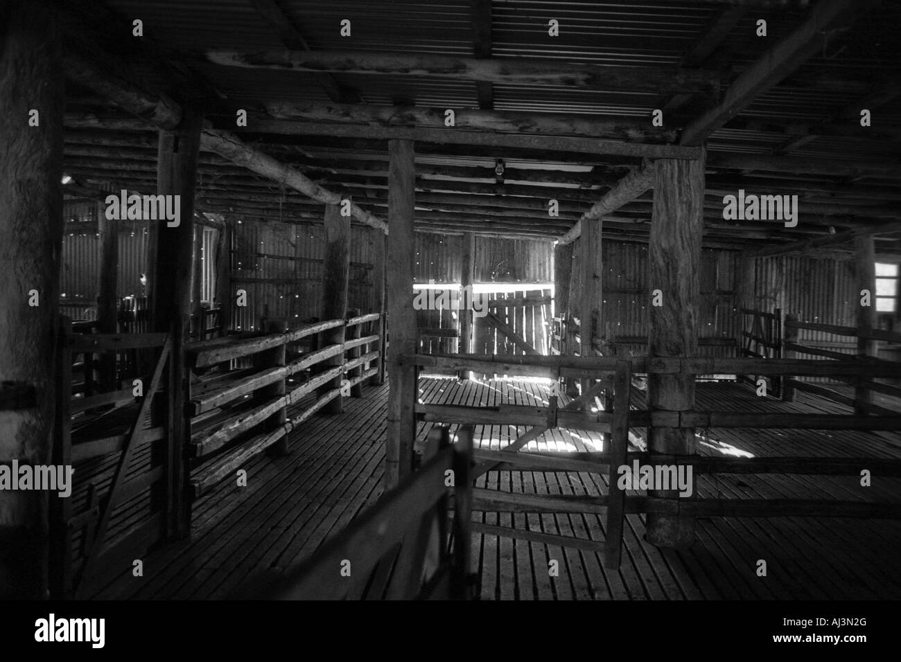 Fattoria Woolshed Nuovo Galles del Sud Australia Foto Stock
