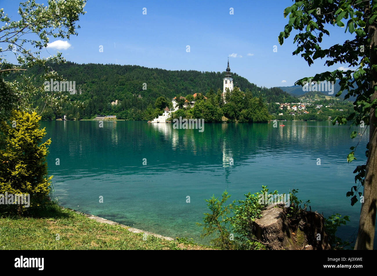 Una vista panoramica di Bled isola con la Chiesa dell'assunzione sul lago di Bled Slovenia Foto Stock