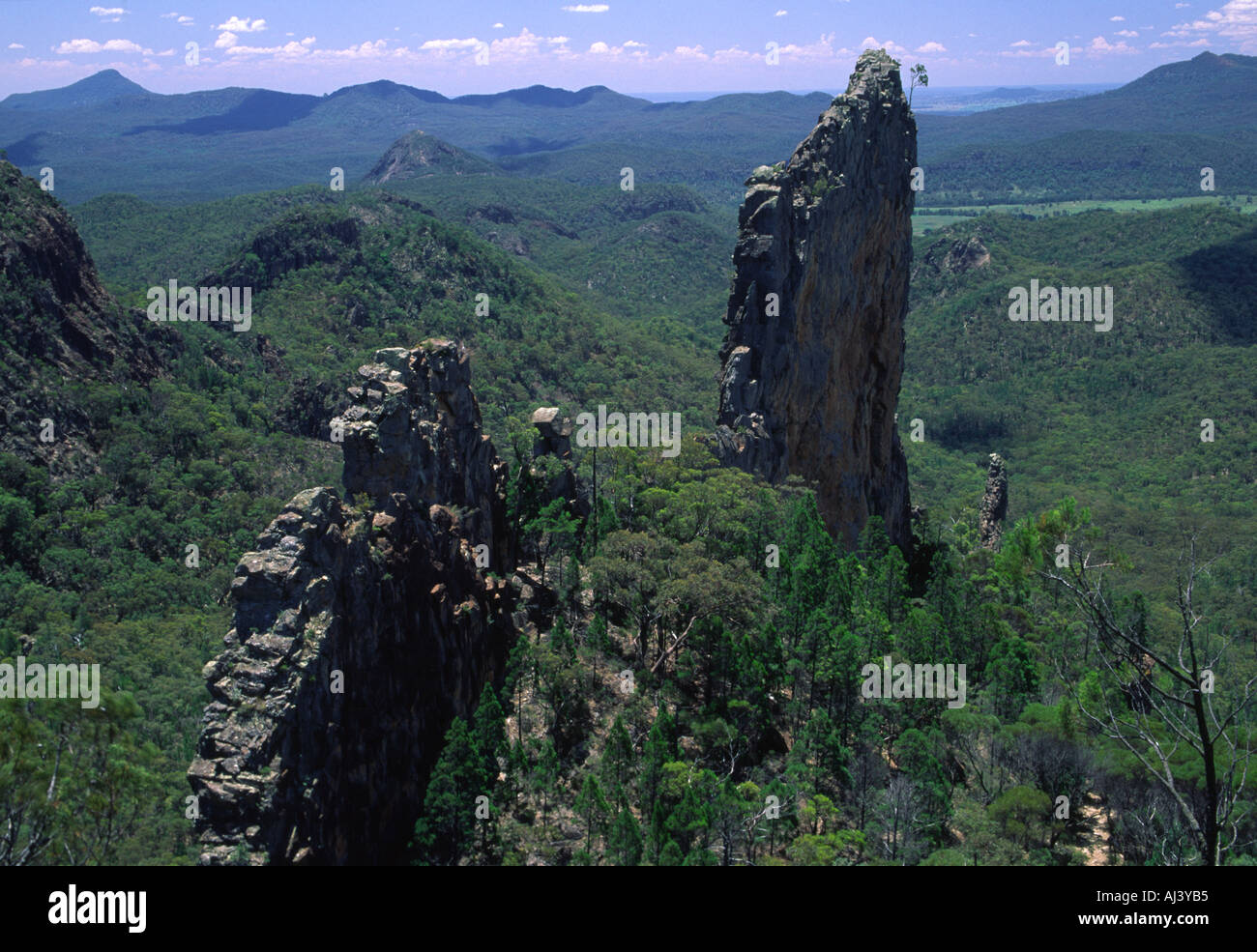 Warrumbungle National Park, NSW, Australia Foto Stock