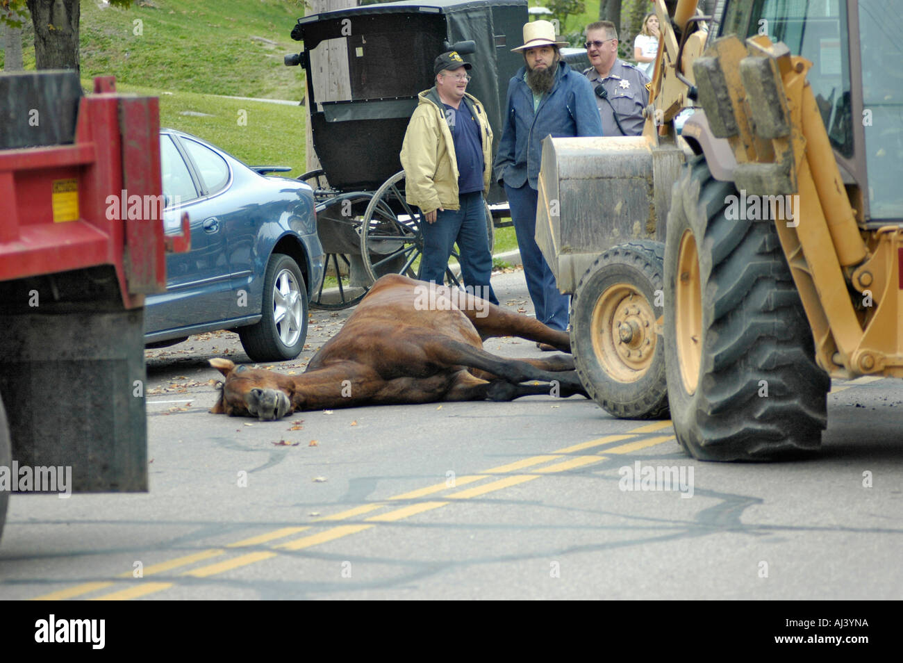 Amish buggy cavallo morto ucciso dopo la caduta di essere spaventata da veloce auto in Millersburg Ohio il collo spezzato dalla slitta per la strada del cavallo di famiglia Foto Stock