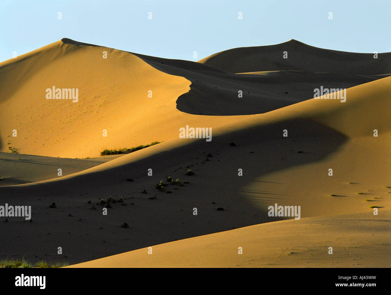 Khongoryn Els duna di sabbia. Sud Il deserto del Gobi. Mongolia Foto Stock