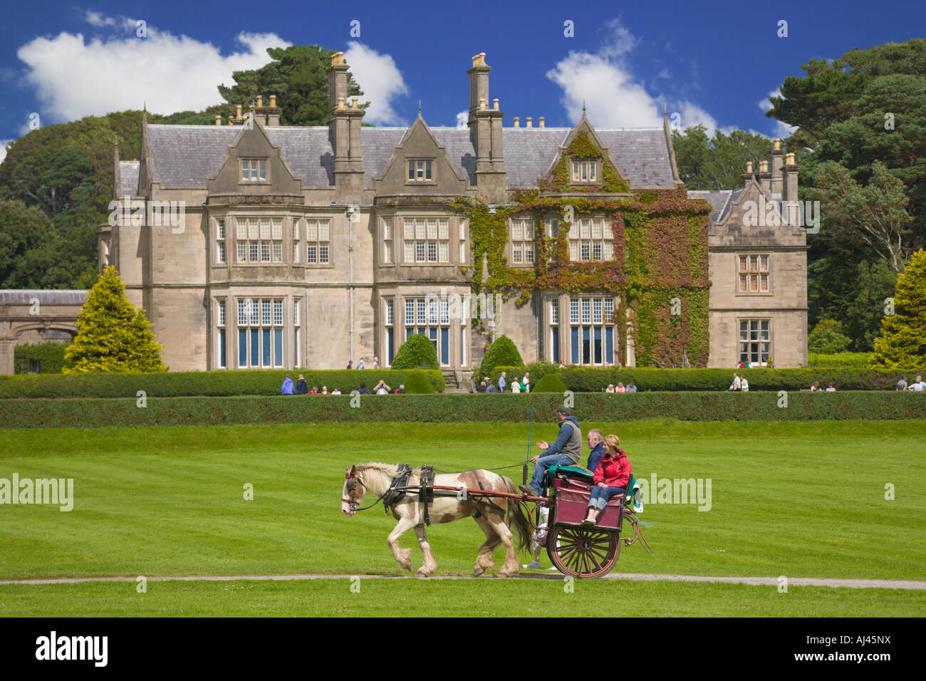 Jaunting Cars di Muckross House Killarney County Kerry Irlanda Foto Stock