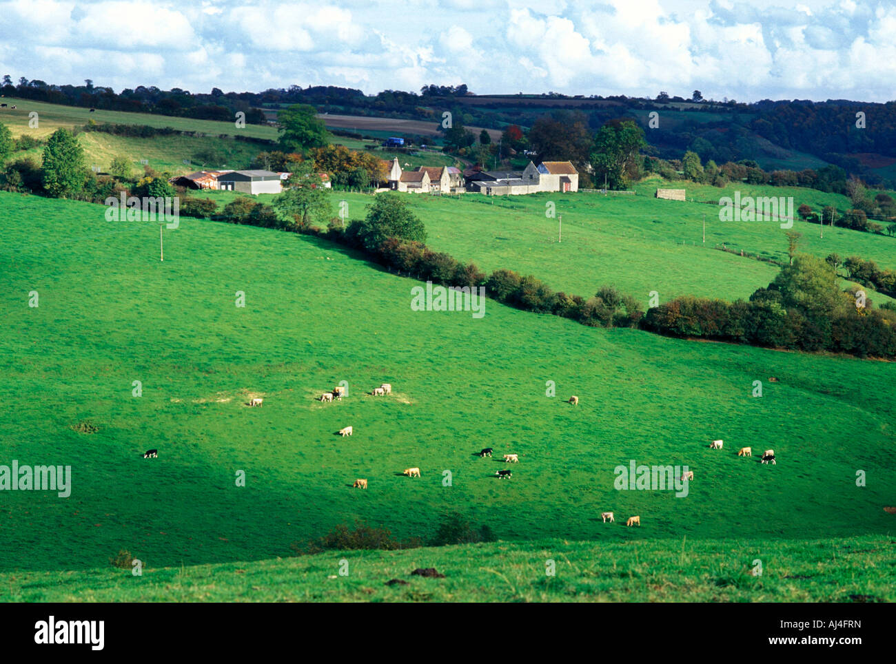 Valle boscosa Marshfield South Gloucestershire in Inghilterra Foto Stock
