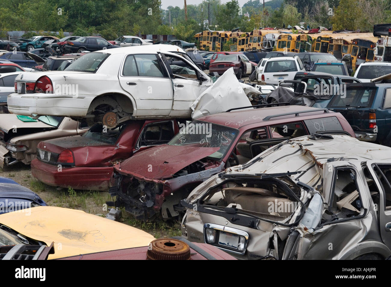 I veicoli compresi gli autobus scolastici in Auto salvage yard indiana del Sud Foto Stock