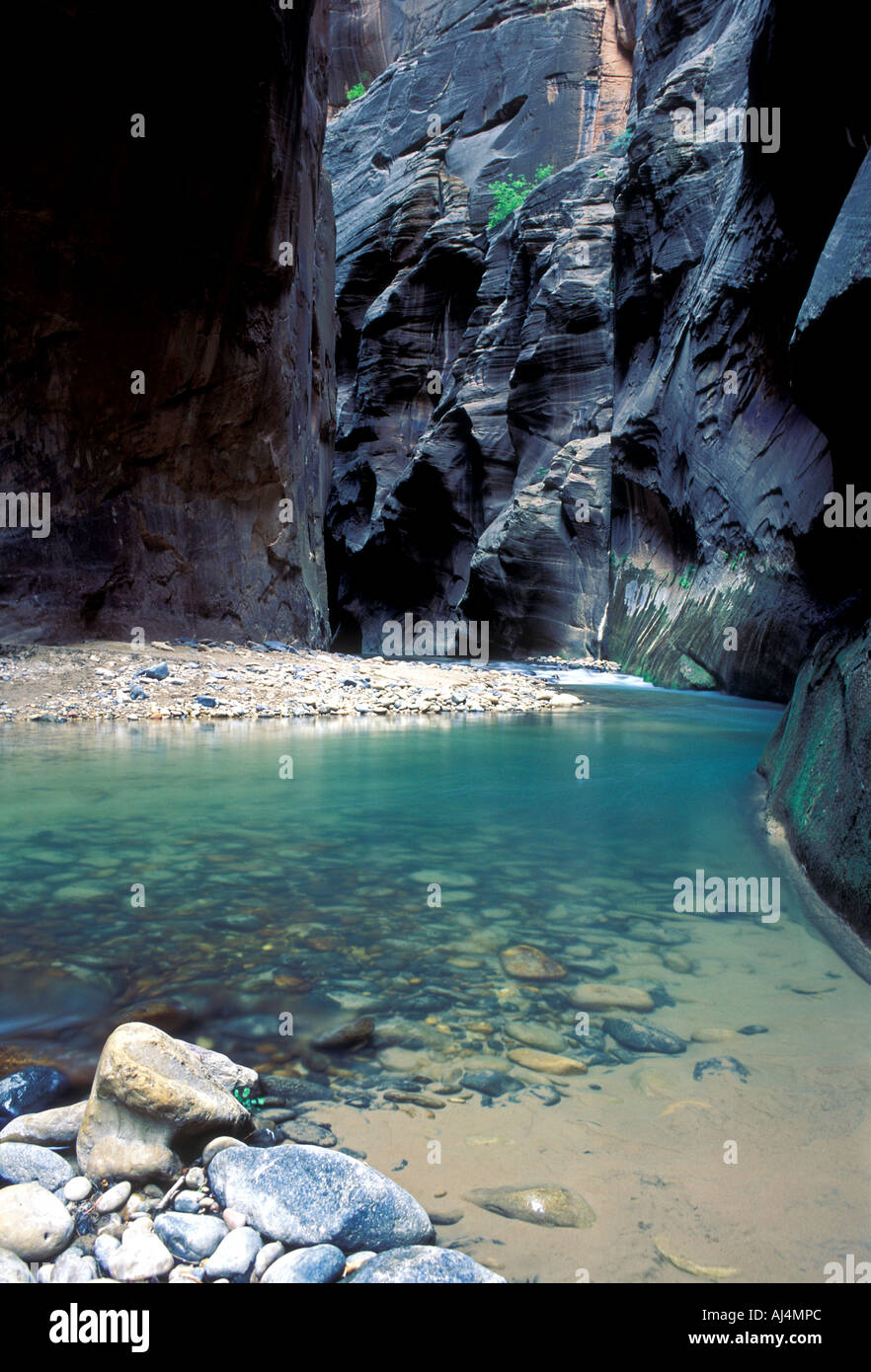 Sion si restringe, Parco Nazionale Zion, Utah, Stati Uniti d'America Foto Stock