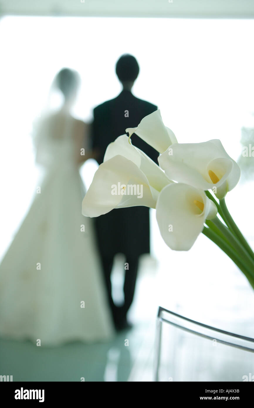 Vista posteriore della sposa e lo sposo in piedi Foto Stock