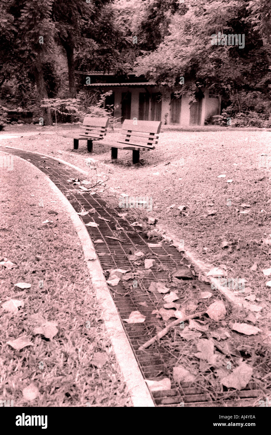 Panchine nel parco,fotografia è in bianco e nero di tono. Foto Stock