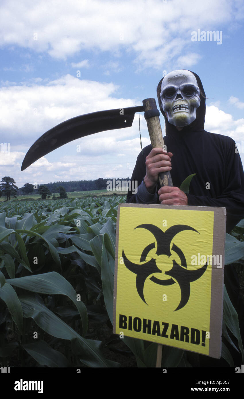 Un anti GM protester vestito come Grim Reaper fa il suo modo di un campo per abbattere il mais GM Foto Stock