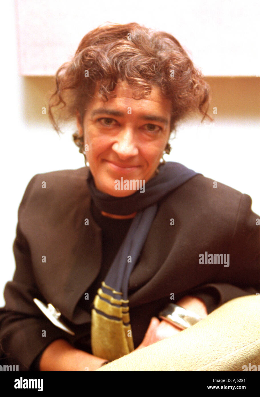 Heather rabbatts chief executive di impower plc ritratto seduto Jan 03 Foto Stock