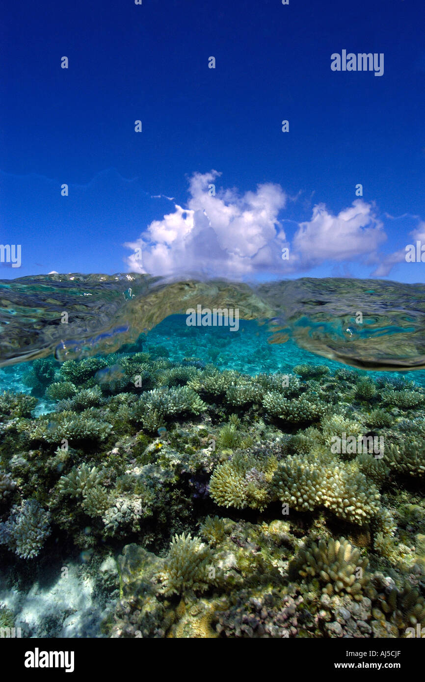 Immagine sdoppiata di immacolata barriera corallina e isola disabitata Ailuk atollo delle Isole Marshall del Pacifico Foto Stock