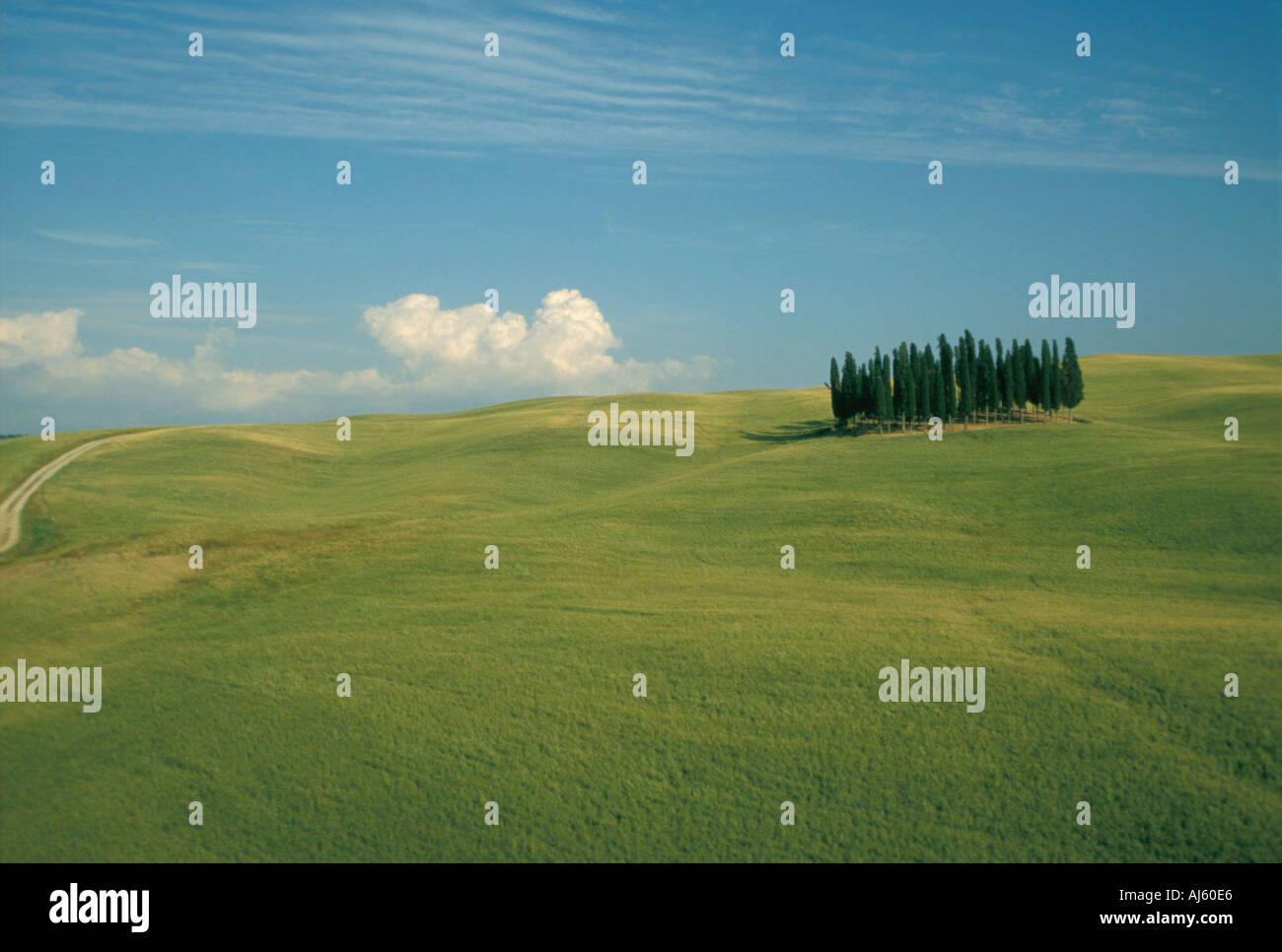 Europa Italia Toscana da San Qurico paesaggio con cipressi Foto Stock
