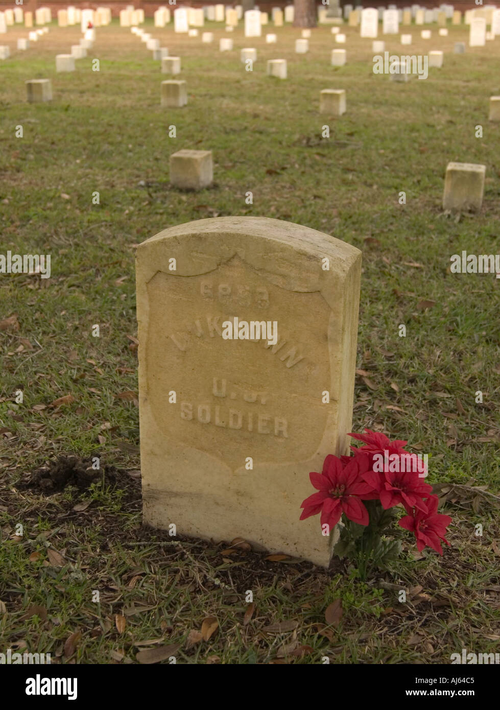 Unknown Soldier's grave con display di fiori rossi al Cimitero Nazionale di Beaufort South Carolina USA Foto Stock