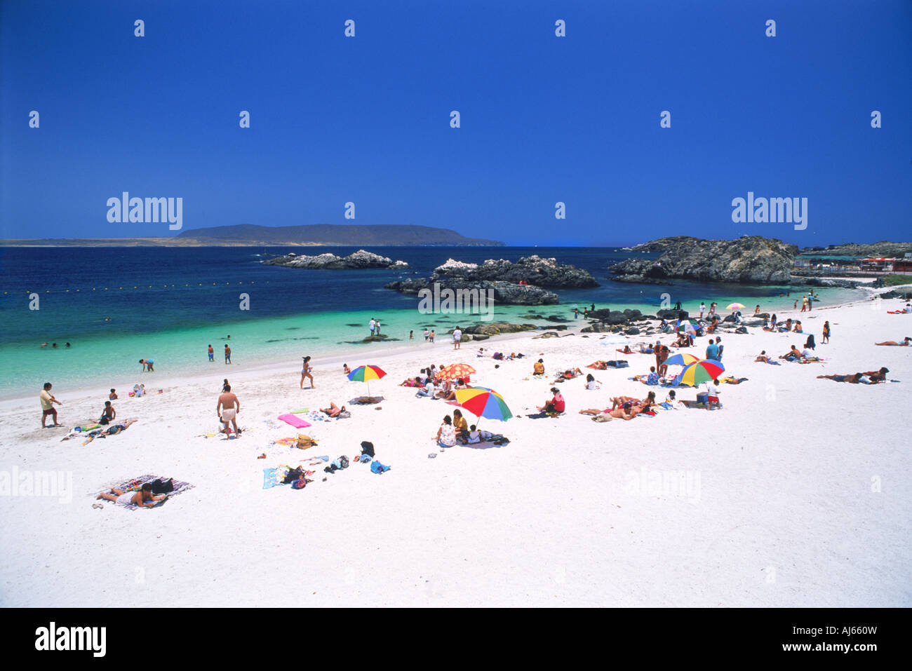 Lucertole Da Mare Sulla Spiaggia Di Sabbia Bianca A Bahia