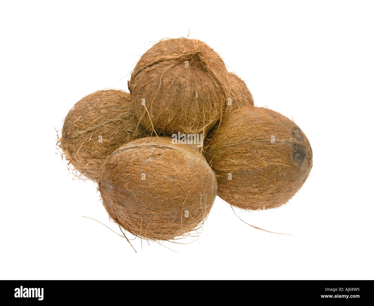 5 5 intero coko cocco dado di legno pelose guscio in legno nutshell cibo frutta su sfondo bianco Foto Stock