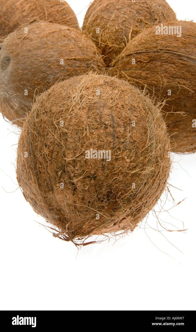 5 5 intero coko cocco dado di legno pelose guscio in legno nutshell cibo frutta su sfondo bianco Foto Stock