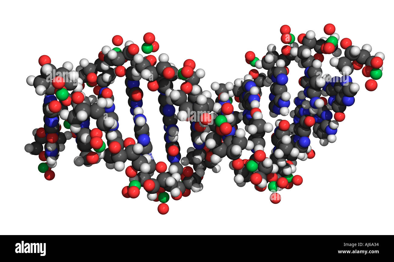 La doppia elica del DNA Foto Stock