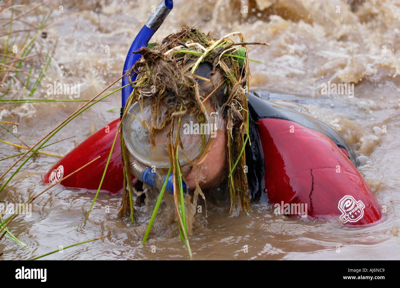 In Irlanda la Julia Galvin competere nel mondo Bog Snorkelling campionati a Llanwrtyd Wells Powys Wales UK Foto Stock