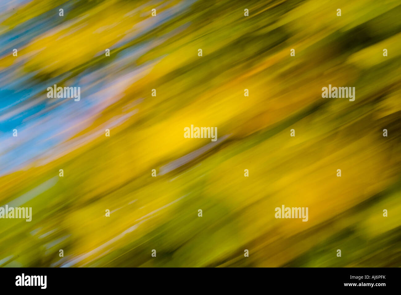 Autumn Leaf motion blur contro un cielo blu Foto Stock