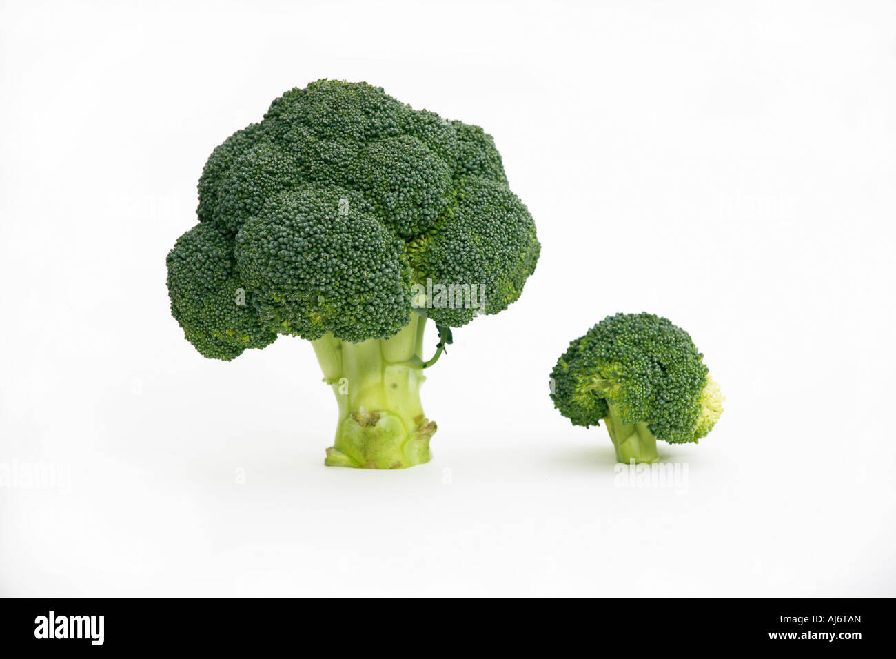 Broccoli grande e piccola porzione Foto Stock