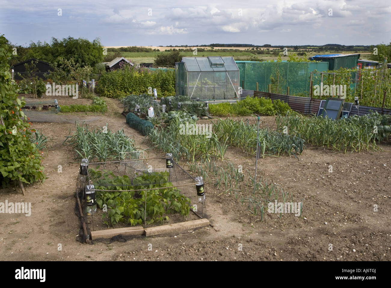 Giardino riparto Norfolk Foto Stock
