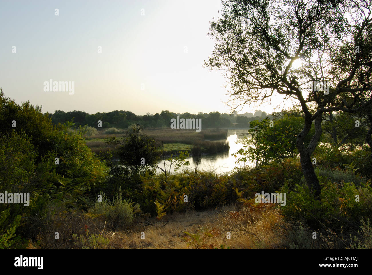 Alba sulle zone umide di Coto Donana National Park, Andalusia, Spagna Foto Stock