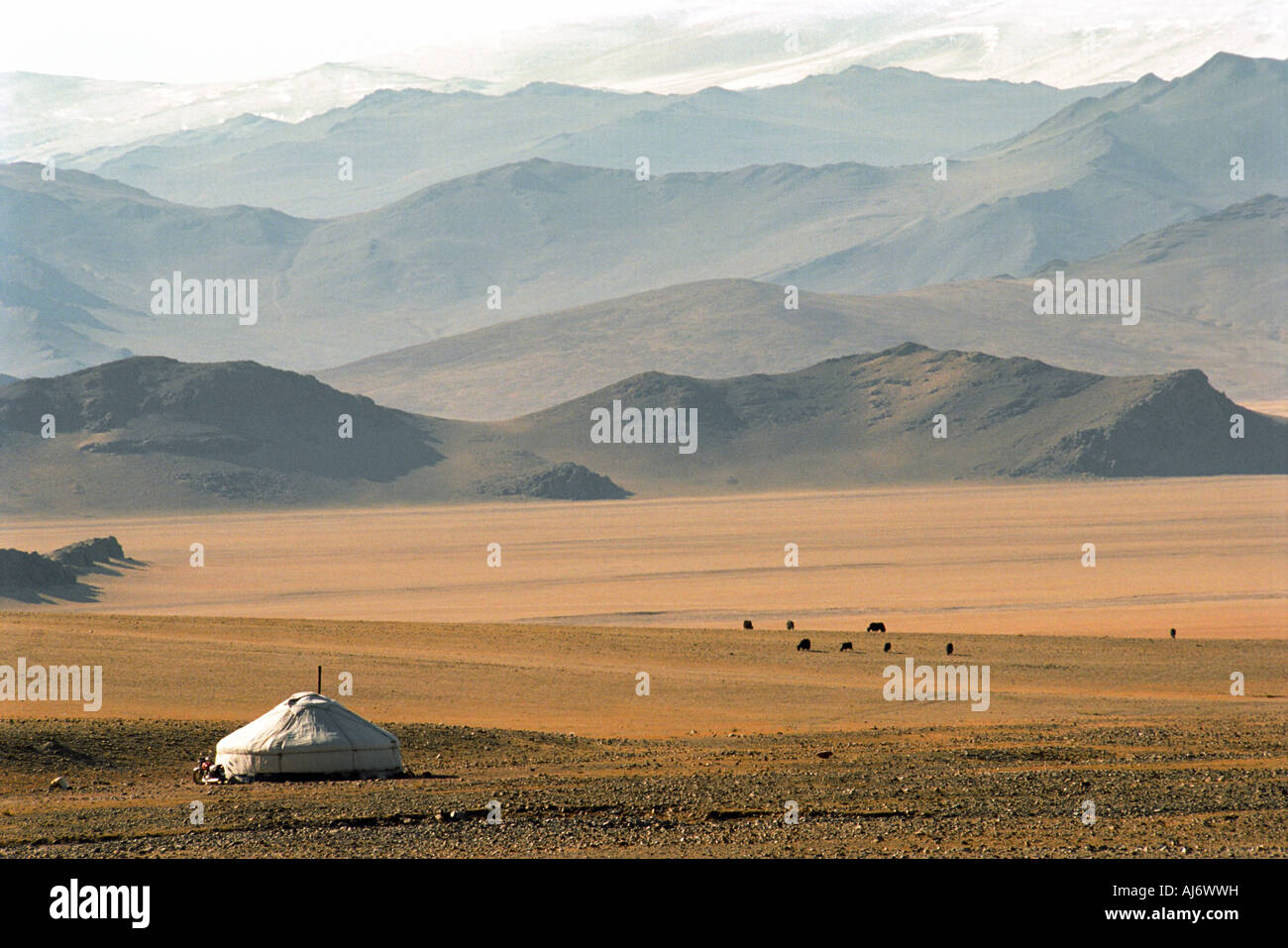 Tradizionale dimora mongolo ger o yurt. Altai mongolo (Mongolo Nuruu Altayn). Provincia Baian-Olgii. Mongolia Foto Stock