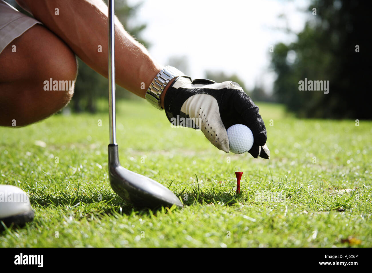 Preparare la sfera per tee Foto Stock