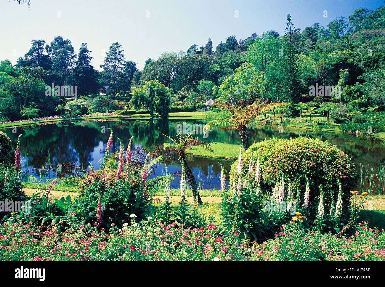 Vumba Botanical Gardens East Highlands sul confine con il Mozambico vicino a Mutare Zimbabwe Foto Stock
