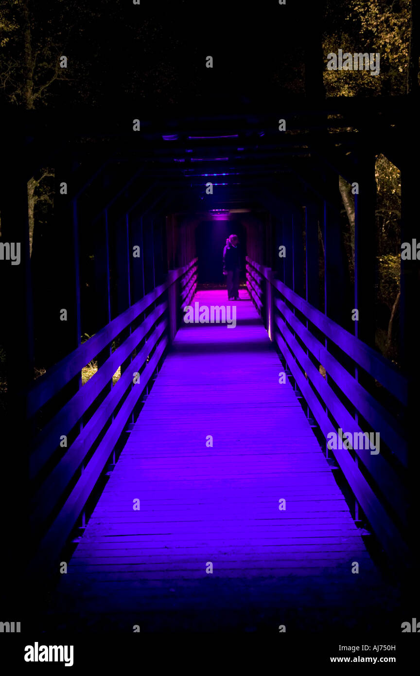 Ponte pedonale illuminata con luce blu notturna, sera Faskally, Loch Dunmore, Perthshire, Scotland, Regno Unito Foto Stock