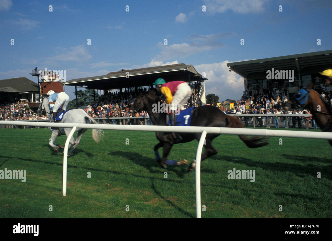 Corse di cavalli a Goodwood race course Sussex Foto Stock