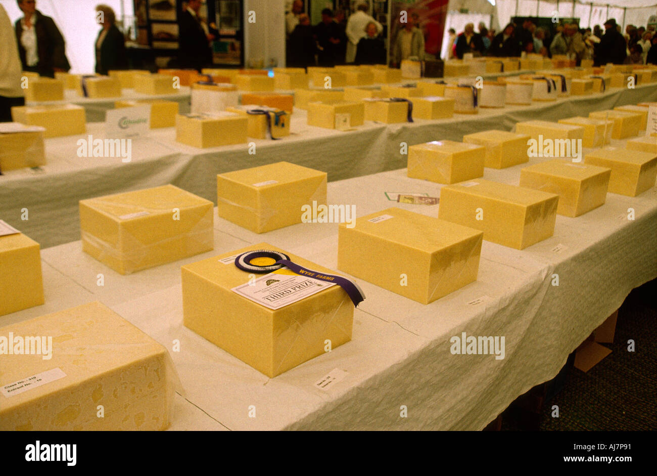 Vincitore del premio di formaggio cheddar sul display a Frome Cheese Show 2004 insieme ad altre voci di concorrenza. Foto Stock