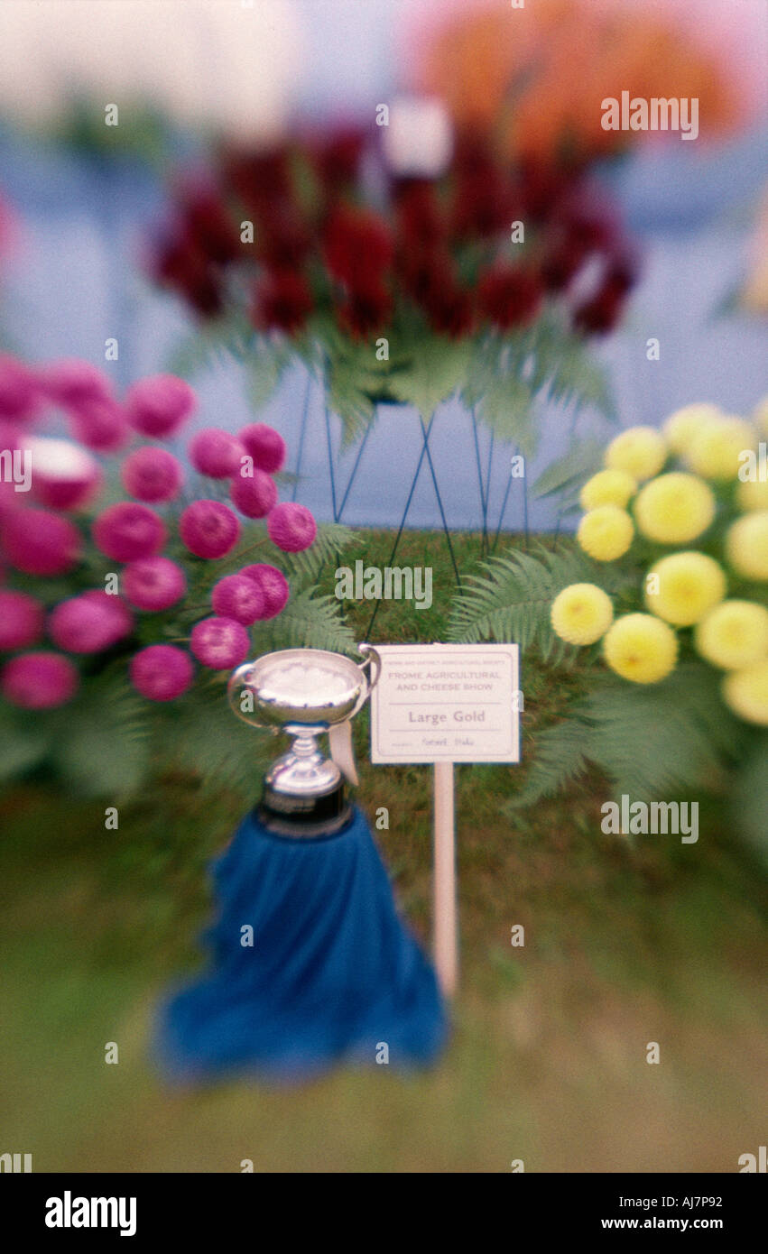 Visualizzazione di vincere il dahlia fiori a Frome Cheese Show 2004 Foto Stock