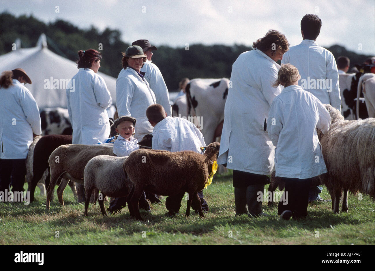 Due molto giovane ragazzo mostrano gli allevatori di ovini vincente a Frome Formaggio e agricoltura mostra Somerset Foto Stock