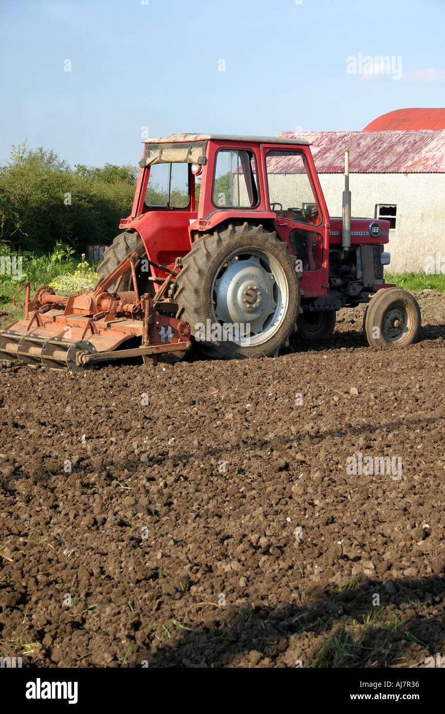 Piccolo vecchio trattore rosso nel campo arato, Moira, County Down, Irlanda del Nord Foto Stock