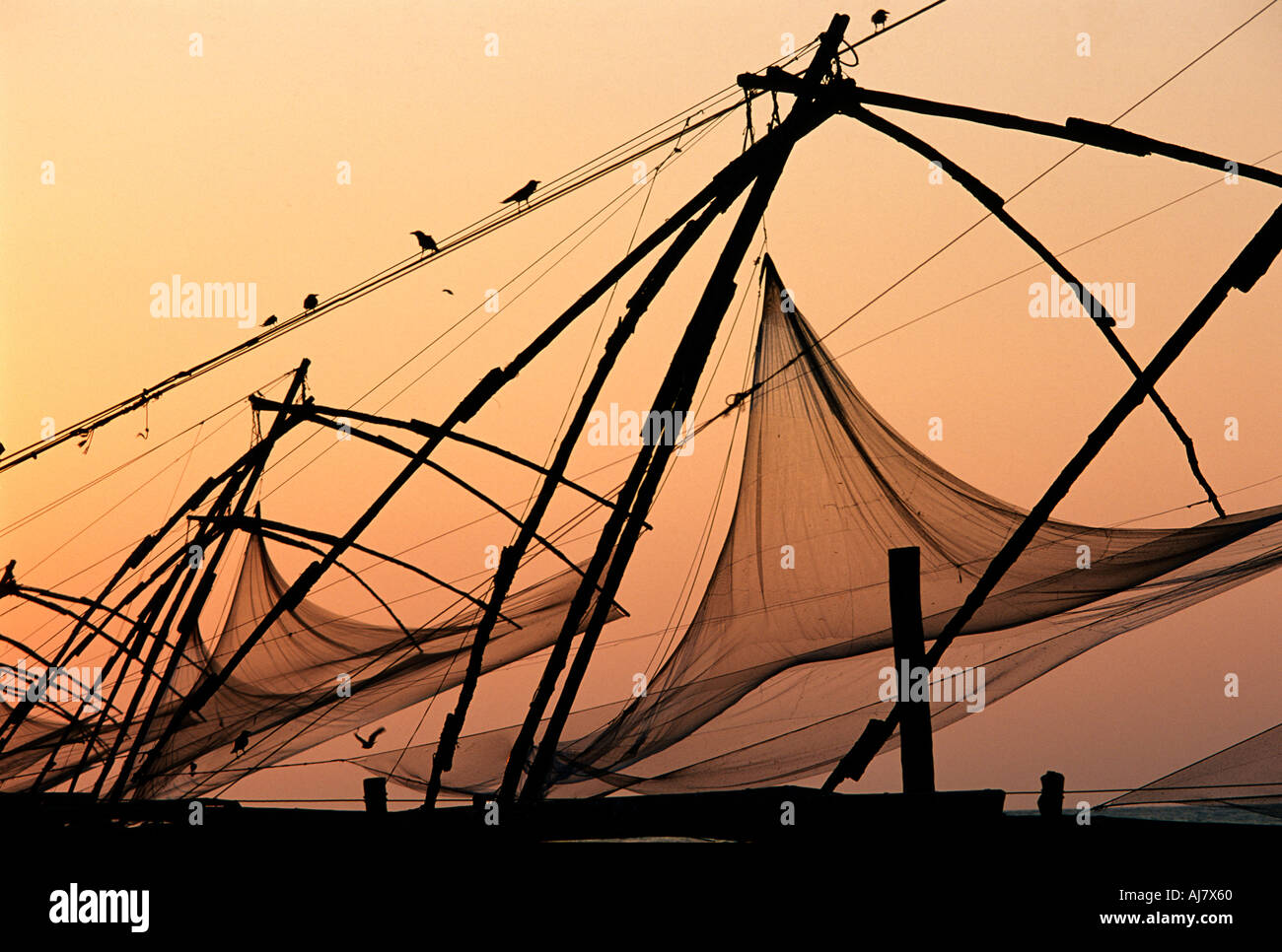 Cinese di reti da pesca al tramonto, Fort Cochin, Kochi (Cochin), Kerala, India Foto Stock