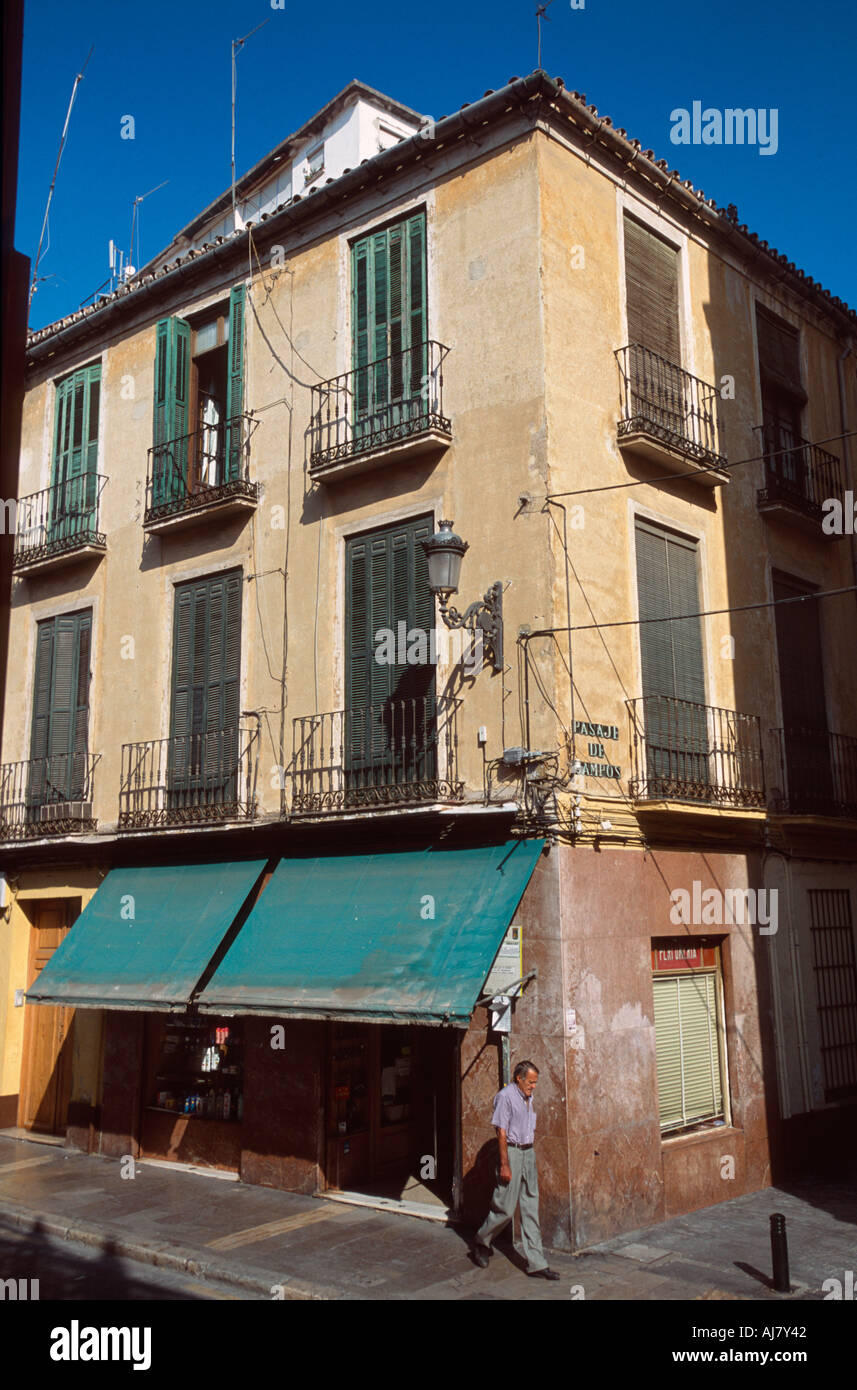 Corner shop su Pasaje de Campos vicino alla Casa Natal il luogo di nascita di Pablo Picasso, Malaga, Andalusia, Spagna Foto Stock