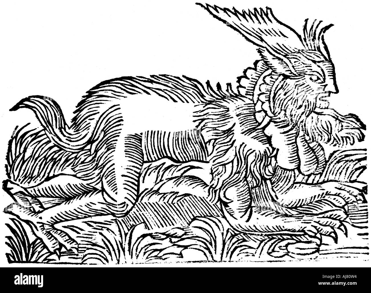 Lycanthropy: foresta demon catturato in Germania nel 1531 (1669). Artista: sconosciuto Foto Stock