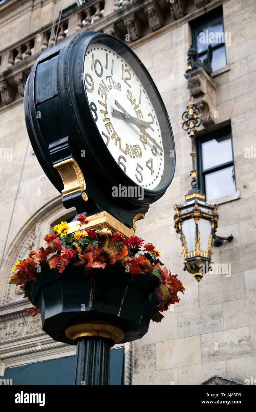 Orologio sorge sul marciapiede davanti all The Sherry Netherland Hotel sulla Quinta Avenue al Central Park West in Midtown Manhattan New Foto Stock