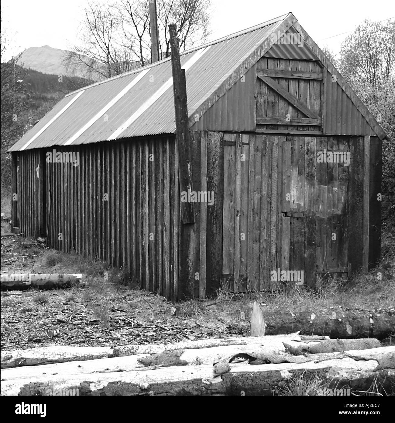 Ferro corrugato shack Foto Stock