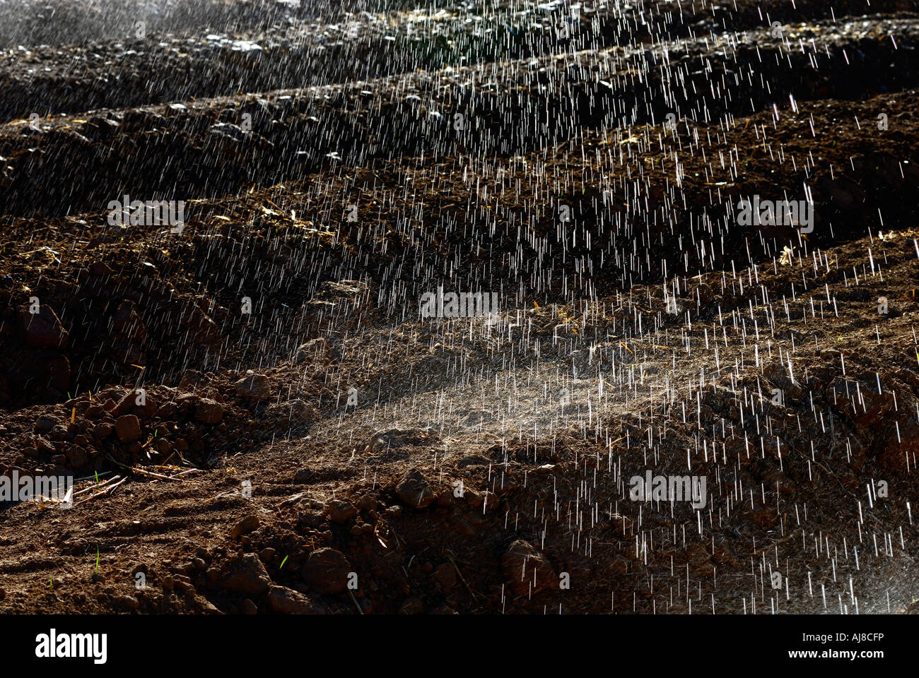 Israele Negev campi di irrigazione con sprinkler Foto Stock