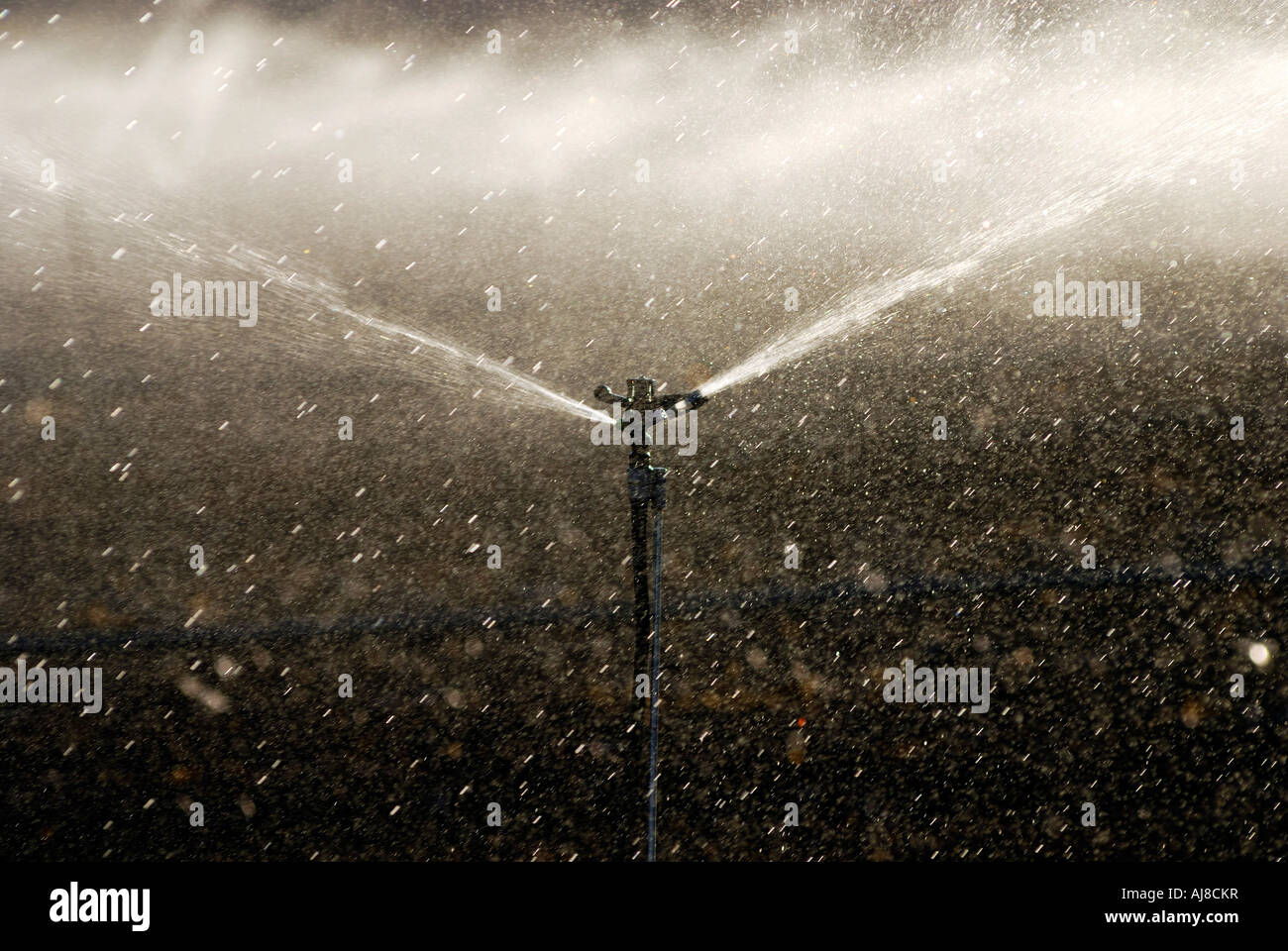 Israele Negev campi di irrigazione con sprinkler Foto Stock