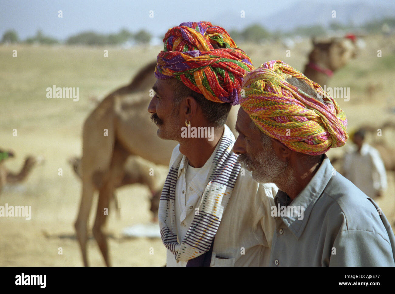 Puskar mercato di cammelli in cerca di un cammello India Foto Stock